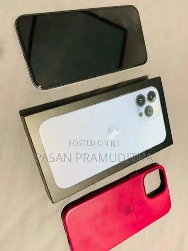 Apple iPhone 13 Pro Max 256GB (Used)
