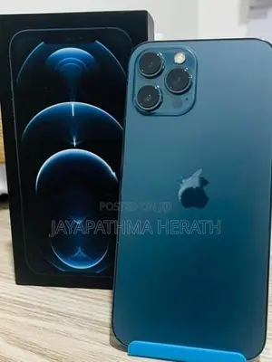 Apple iPhone 12 Pro Max (Used)