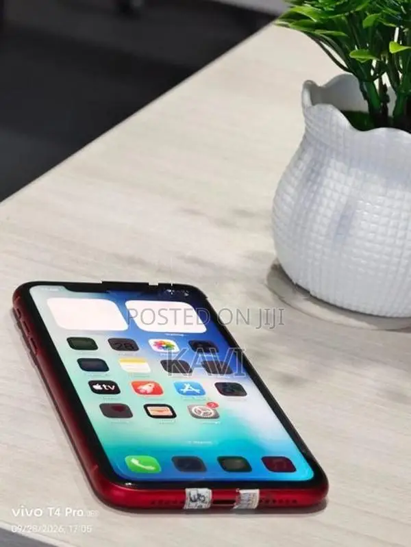 Apple iPhone 11 (Used)