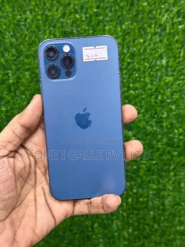 Apple iPhone 12 Pro 256GB (Used)