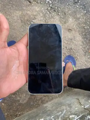Apple iPhone 12 (Used)