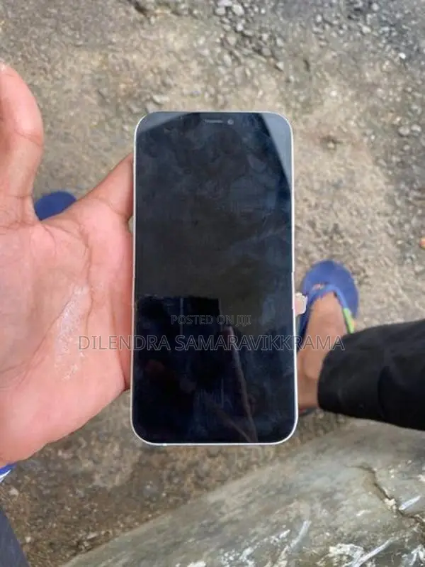 Apple iPhone 12 (Used)