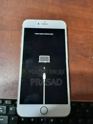 Apple iPhone 6S Plus (Used)