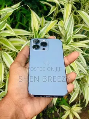 Apple iPhone 13 Pro (Used)