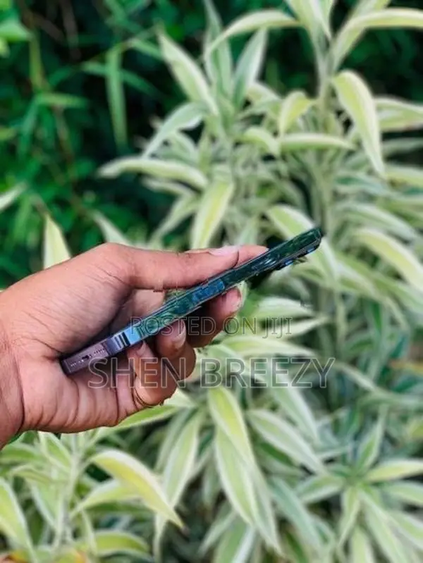 Apple iPhone 13 Pro (Used)