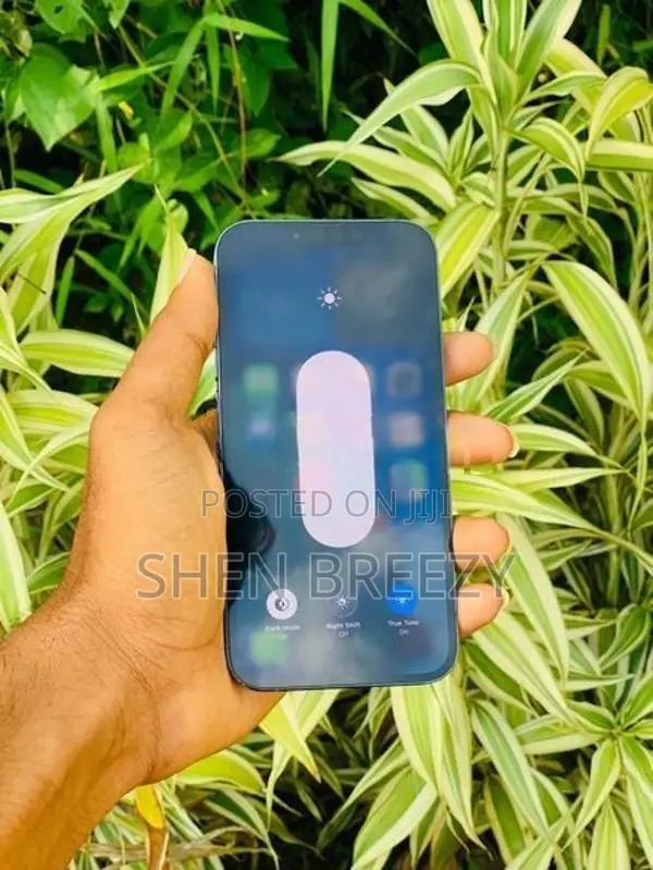 Apple iPhone 13 Pro (Used)