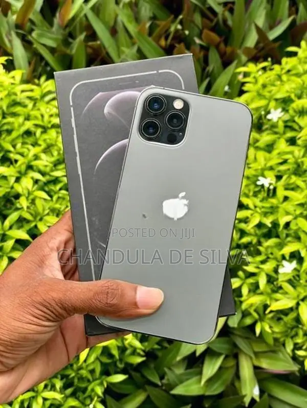 Apple iPhone 12 Pro 256GB (Used)