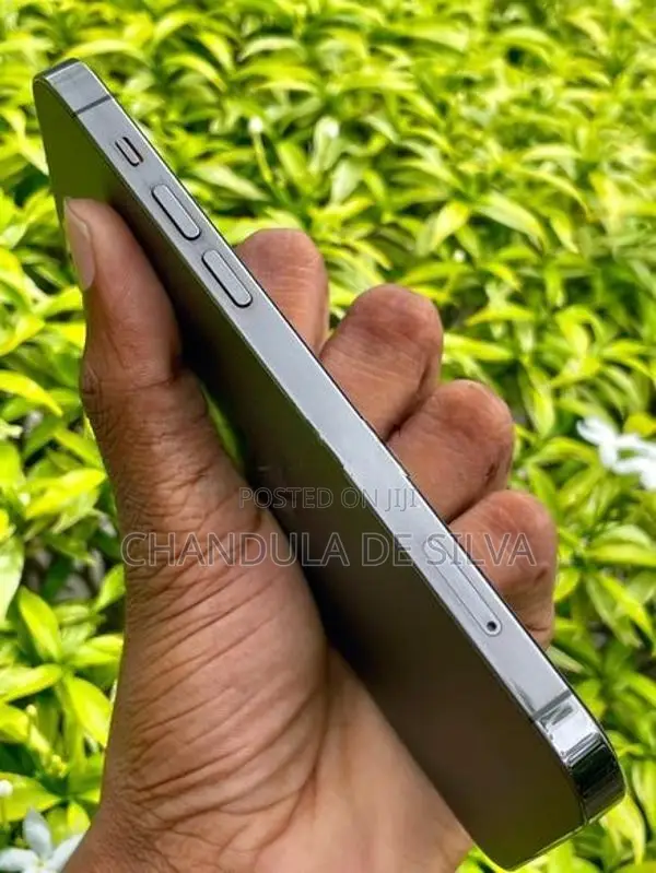 Apple iPhone 12 Pro 256GB (Used)