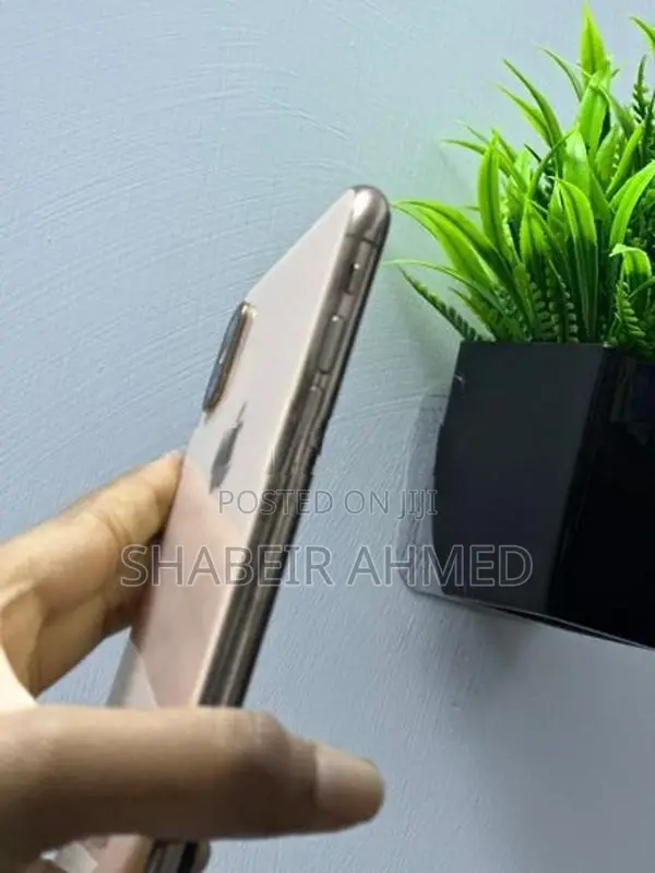 Apple iPhone XS Max (Used)