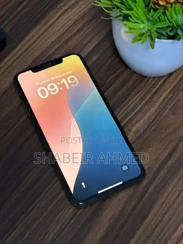 Apple iPhone XS Max (Used)