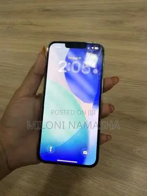 Apple iPhone 13 Pro (Used)