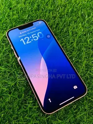Apple iPhone 13 (Used)