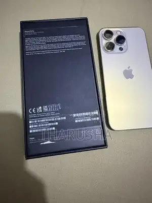 Apple iPhone 13 Pro (Used)