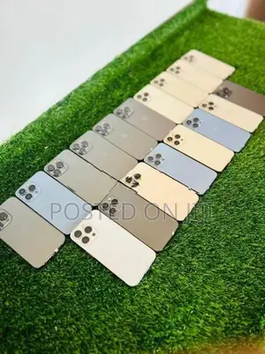 Apple iPhone 13 Pro (Used)