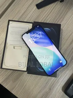 Apple iPhone 12 Pro Max (Used)