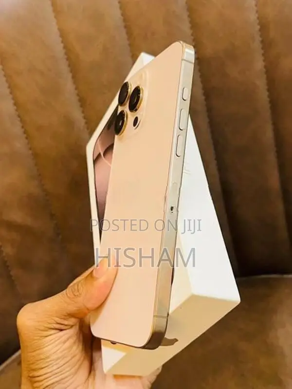 Apple iPhone 16 Pro Max 256GB (Used)