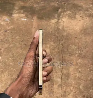 Apple iPhone 12 Pro (Used)