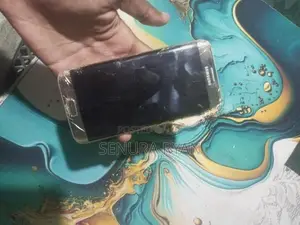 Samsung Galaxy S7 Edge (Used)