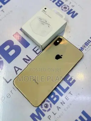 Apple iPhone XS Max 256GB (Used)