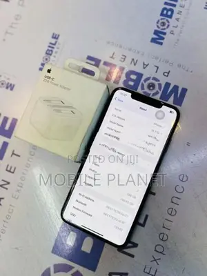 Apple iPhone XS Max 256GB (Used)