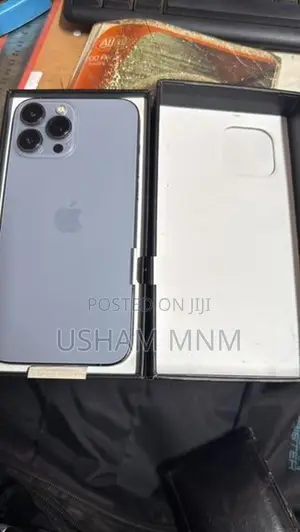 Apple iPhone 13 Pro Max (Used)