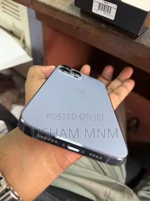 Apple iPhone 13 Pro Max (Used)