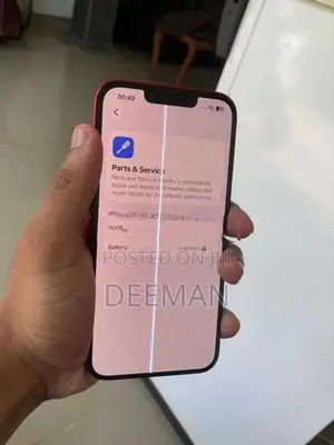 Apple iPhone 13 (Used)