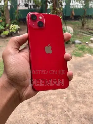 Apple iPhone 13 (Used)