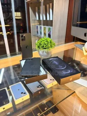 Apple iPhone 12 Pro 256GB (Used)