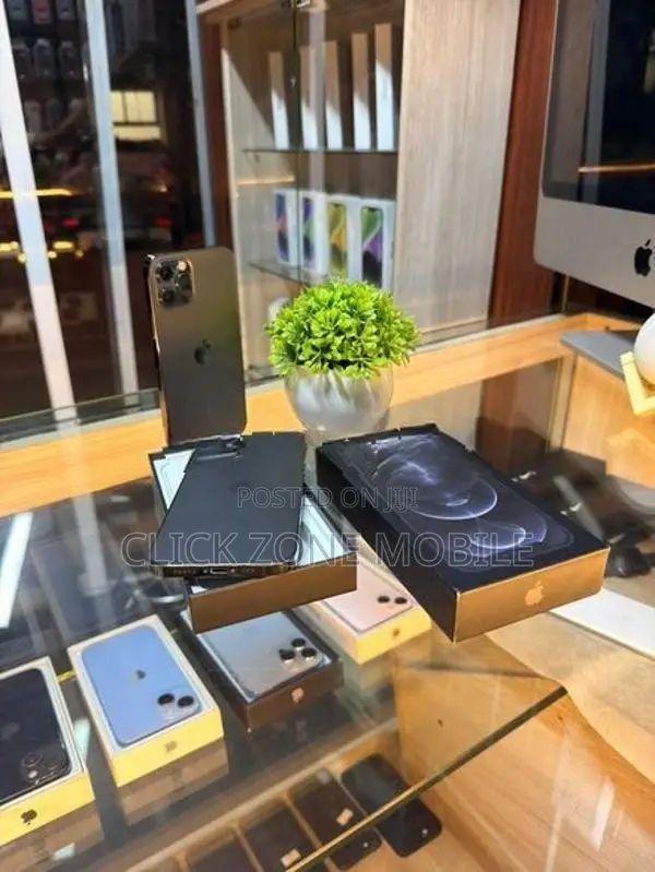 Apple iPhone 12 Pro 256GB (Used)