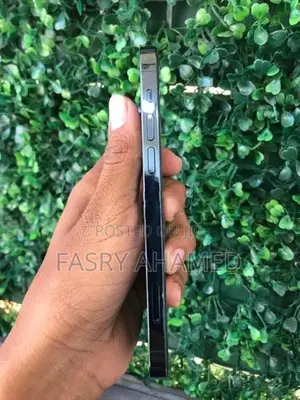 Apple iPhone 12 Pro (Used)