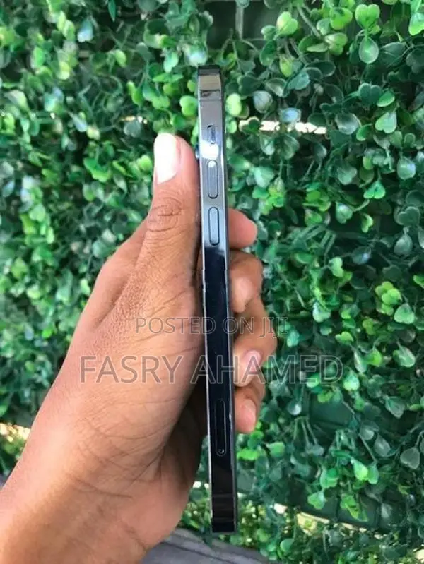 Apple iPhone 12 Pro (Used)