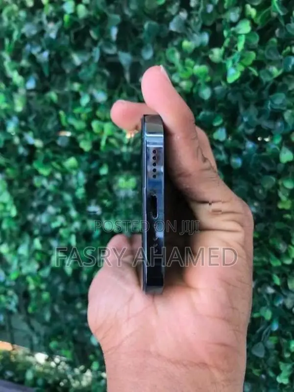 Apple iPhone 12 Pro (Used)