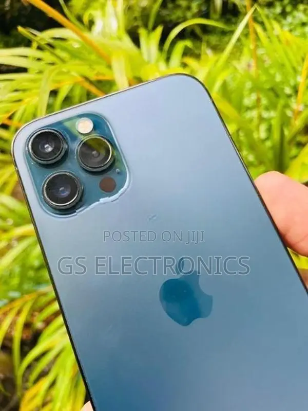 Apple iPhone 12 Pro Max (Used)