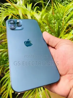 Apple iPhone 12 Pro Max (Used)