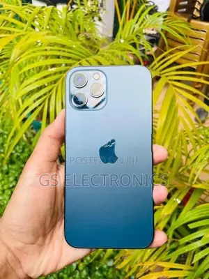 Apple iPhone 12 Pro Max (Used)
