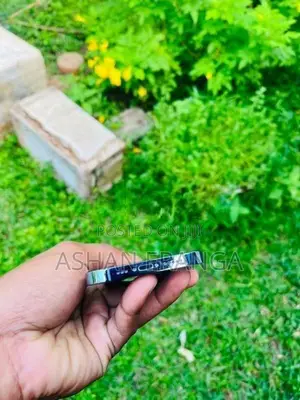 Apple iPhone 13 Pro 256GB (Used)