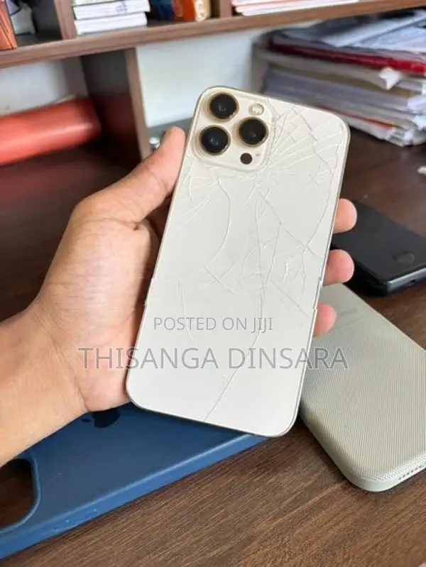 Apple iPhone 13 Pro Max (Used)