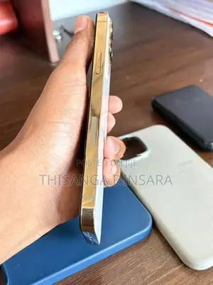 Apple iPhone 13 Pro Max (Used)