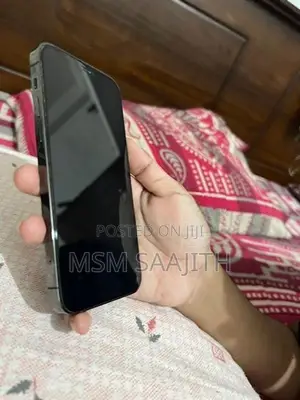 Apple iPhone 12 Pro (Used)