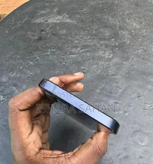 Apple iPhone 12 (Used)