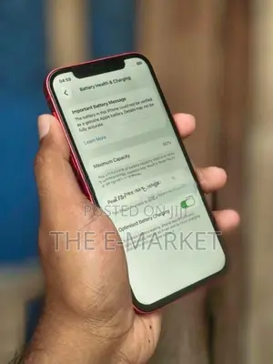 Apple iPhone 12 Edition (Used)