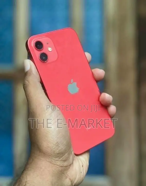 Apple iPhone 12 Edition (Used)