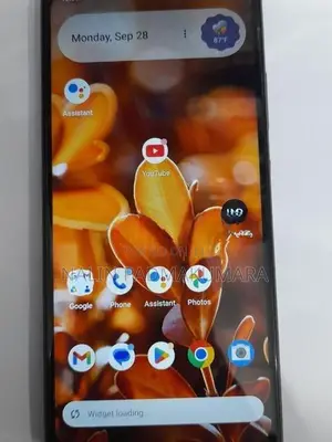 Nokia 2.4 (Used)
