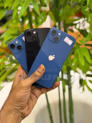Apple iPhone 13 (Used)