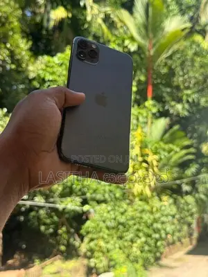 Apple iPhone 11 Pro Max 256GB (Used)