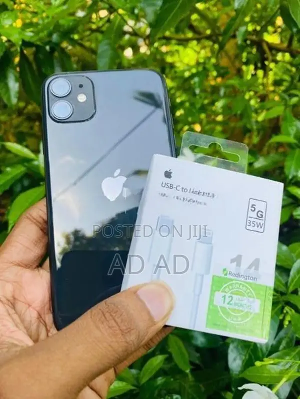 Apple iPhone 11 (Used)