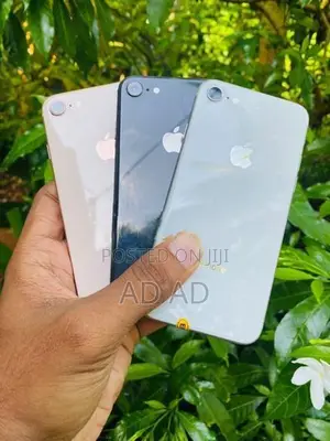 Apple iPhone 8 (Used)