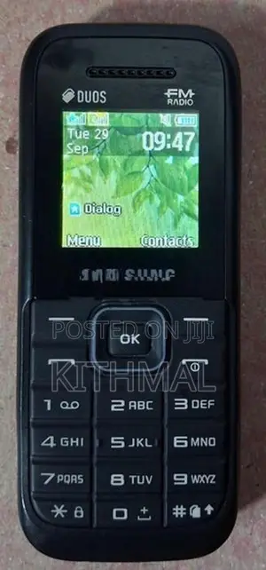 Samsung B110E (Used)