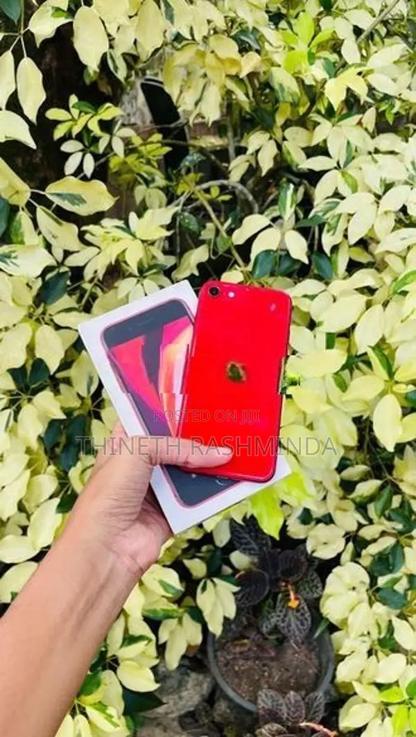Apple iPhone SE 2 (Used)